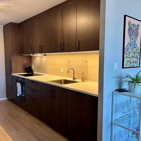 Modern With Sea View * ברגן